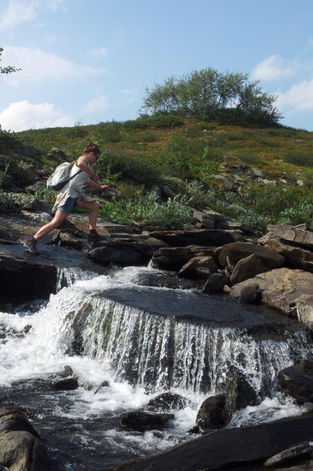 Vindelfjäll Nature Reserve: a Walk Through Reindeer Country - Sustainability and Conservation