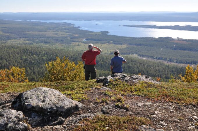 Vindelfjäll Nature Reserve: a Walk Through Reindeer Country - Frequently Asked Questions