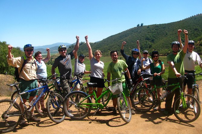 Vine and Dine Bicycle Wine Tour With Lunch - Delectable Catered Lunch Options