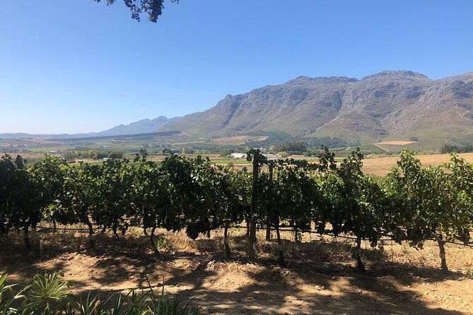 Vine Hopper: Hop-On Hop-Off Wine Tour - Northern Route - Confirmation and Booking Process