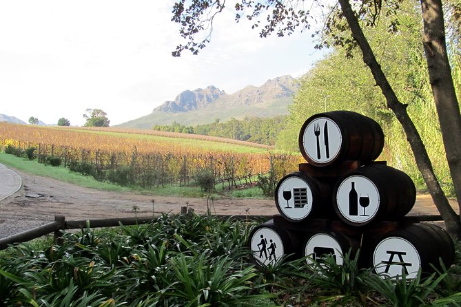 Vine Hopper: Hop-On Hop-Off Wine Tour - Southern Route - Accessibility and Accommodations