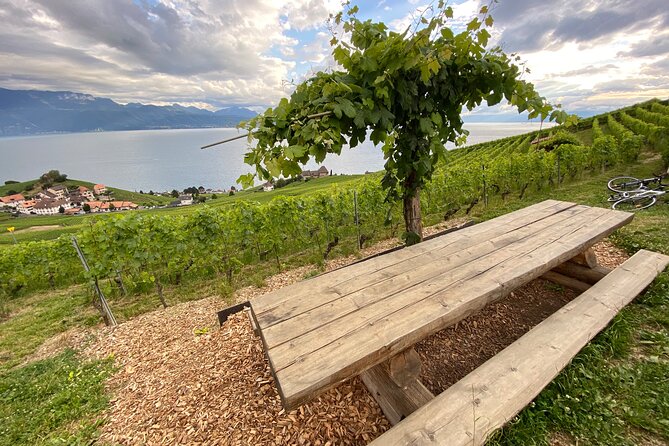 Vine Stories: Lavaux & Lutry Wine Walk - Local Winemaker Tales and History