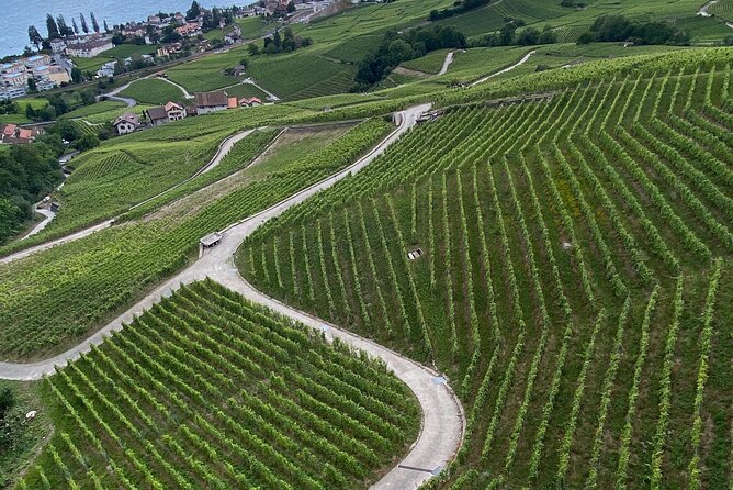 Vine Stories: Lavaux & Lutry Wine Walk - Accessibility and Physical Requirements