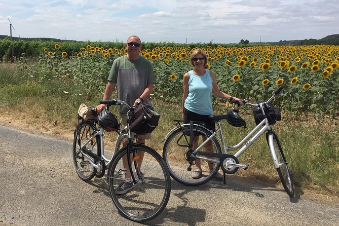 Vineyard Cycle Tours in and Around Chinon, in the Loire Valley - Health and Safety Information