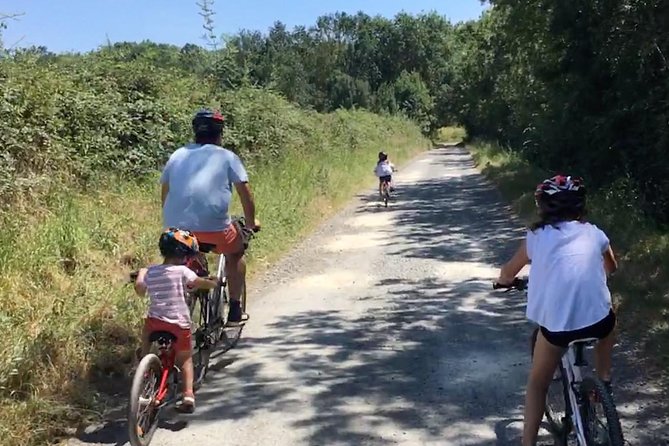 Vineyard Cycle Tours in and Around Chinon, in the Loire Valley - Exploring Chinons Independent Wineries