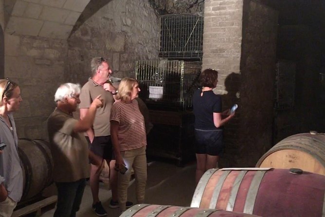 Vineyard Cycle Tours in and Around Chinon, in the Loire Valley - Picnicking in the Vineyards