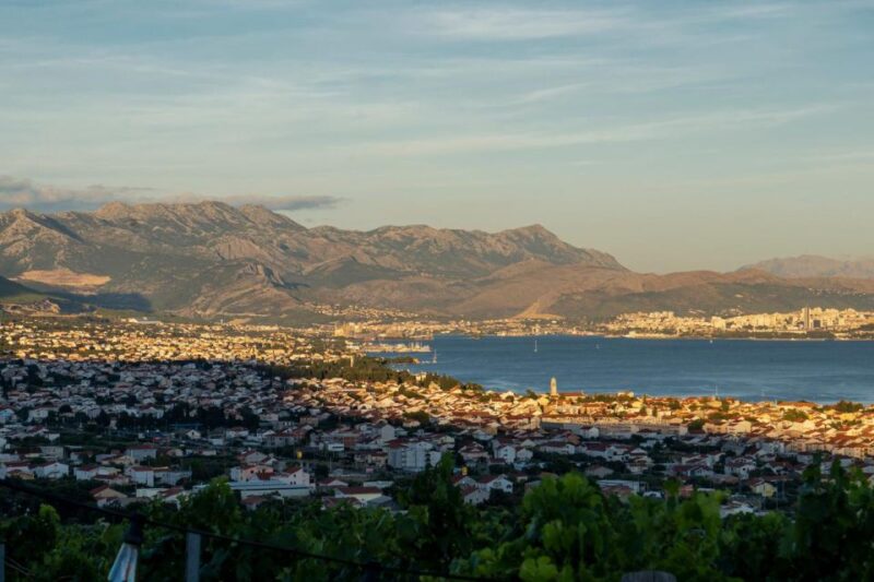 Vineyard Experience: Wine Tasting Near Split - Wine Tasting With Local Flavors