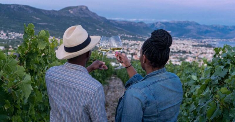 Vineyard Experience: Wine Tasting Near Split - Winemaking Traditions and Expertise