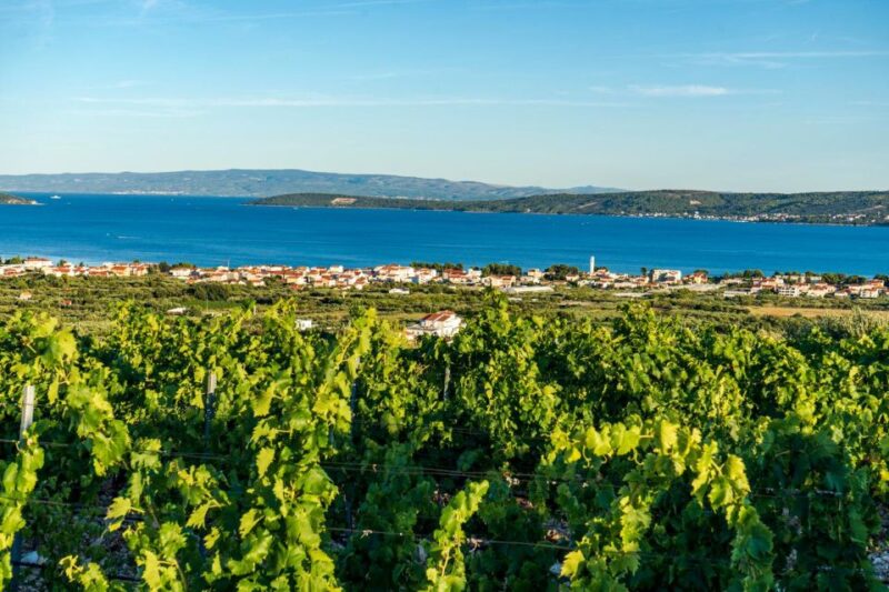 Vineyard Experience: Wine Tasting Near Split - Breathtaking Views of Split