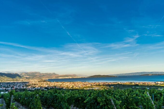 Vineyard Experience: Wine Tasting Near Split - Transportation and Meeting Point Details