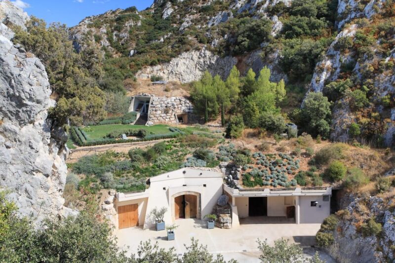 Vineyard of the Alpilles by Bike - Catering to Cyclists of All Levels