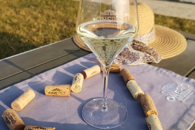 Vineyard PicNic Onepiò Winery - Picnic-Style Wine Tasting Experience