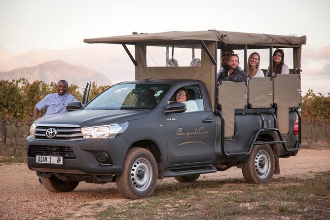 Vineyard Safari and Wine Tasting in Hermanus With Guide - Experience Overview