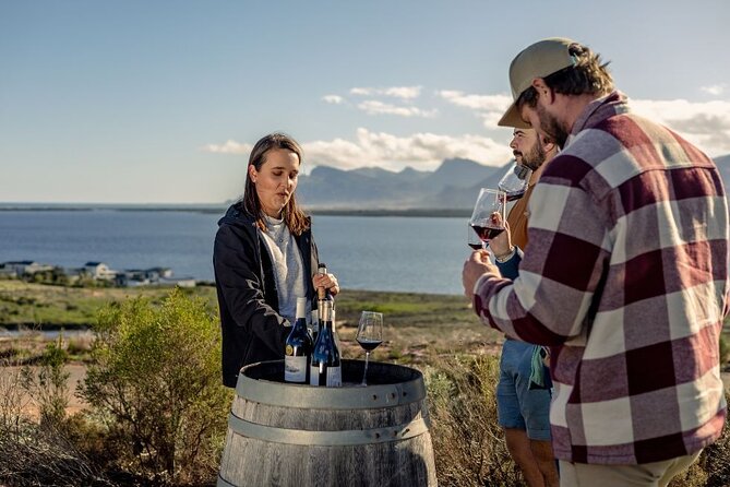 Vineyard Safari and Wine Tasting in Hermanus With Guide - Tips for an Enjoyable Visit