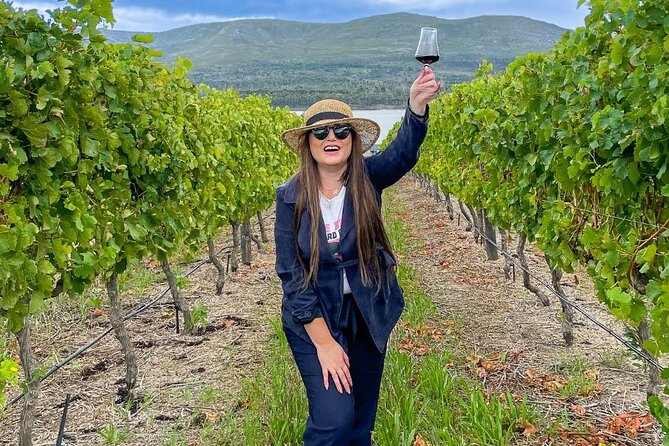 Vineyard Safari and Wine Tasting in Hermanus With Guide - Booking Your Stay
