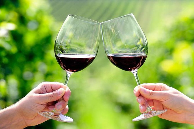 Vineyard Secrets: Pizza Making - Wine Tasting - Rome Countryside - Booking and Cancellations