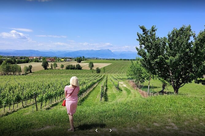 Vineyard Tour and Tasting of Lugana Wines - Tasting Details