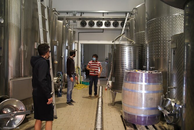 Vineyard Tour and Tasting of Lugana Wines - Accessibility and Participation