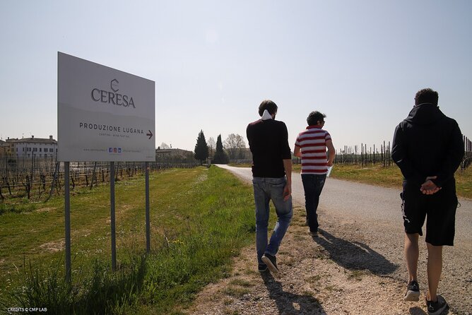 Vineyard Tour and Tasting of Lugana Wines - Winery History and Production