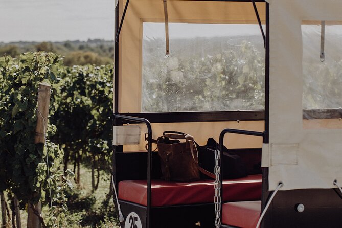 Vineyard Tour and Wine Tasting in Davron - Accessibility and Restrictions