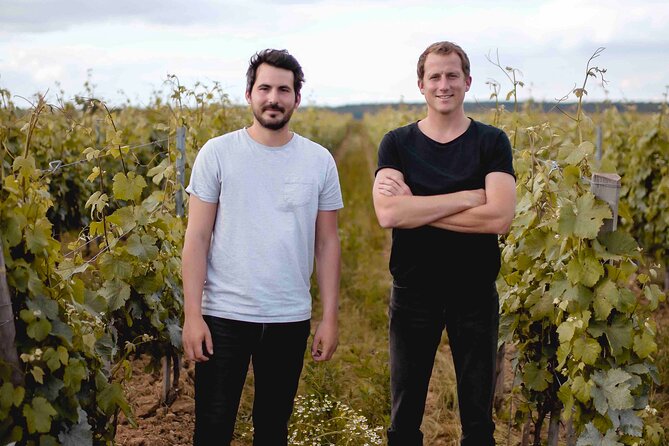 Vineyard Tour and Wine Tasting in Davron - Booking Information