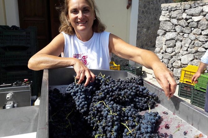 Vineyard Tour at One of the Most Famous Wine-Production Centres in the Amalfi C. - Accessibility and Participation Considerations