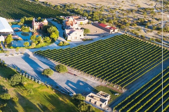 Vineyard, Tour, Tasting and Fun in San Miguel De Allende - Guest Reviews and Feedback