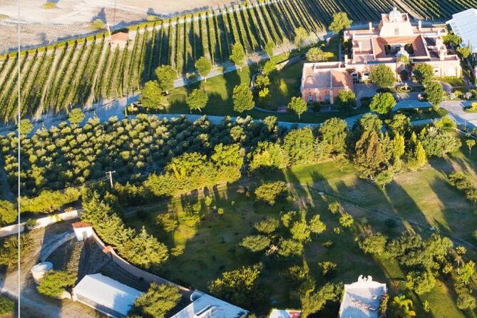Vineyard, Tour, Tasting and Fun in San Miguel De Allende - Driver Commendations