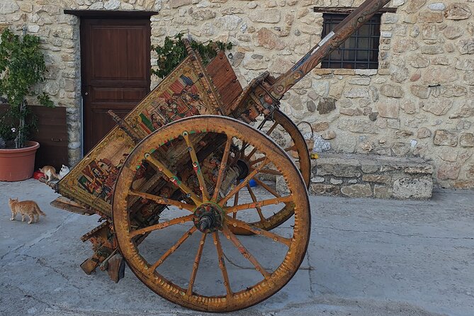 Vineyard Tour, Wine and Sicilian Delicacies Tasting at a Winery in Agrigento - Exploring the Vineyard and Olive Grove