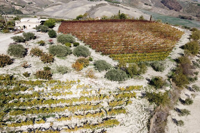 Vineyard Tour, Wine and Sicilian Delicacies Tasting at a Winery in Agrigento - Sampling the Homemade Sicilian Dishes
