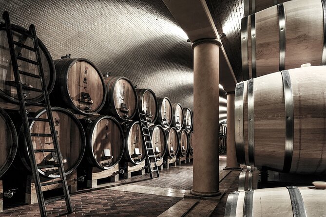 Vineyard Tour With Light Lunch in Valpolicella - Getting to Know the Winemakers