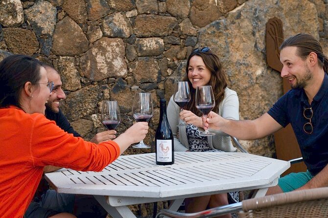 Vineyard Tour With Wine Tasting and Local Products - Good To Know