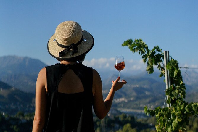 Vineyard Tour With Wine Tasting Within Nice City Borders - Highlights of the Tour Experience