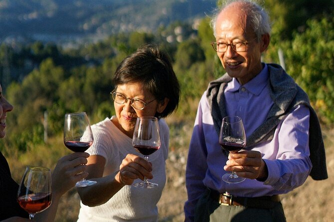 Vineyard Tour With Wine Tasting Within Nice City Borders - Description of the Wine Cellar Visit