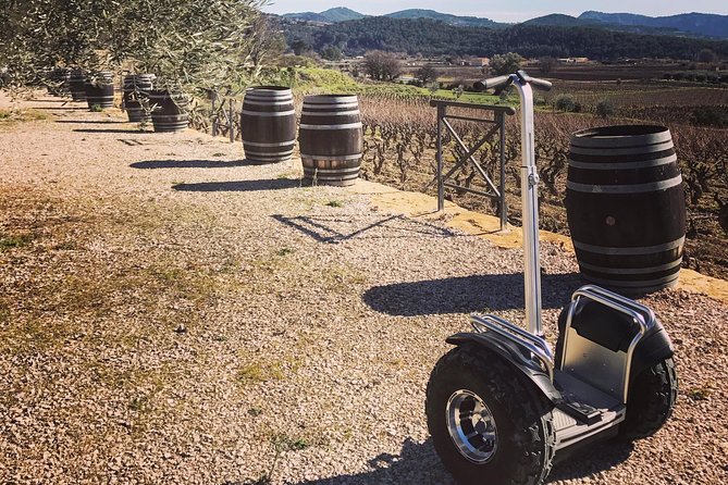 Vineyard Visit in Gyropode, Visit of Cave & Tasting Wines of Bandol - Key Points