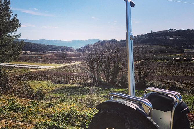 Vineyard Visit in Gyropode, Visit of Cave & Tasting Wines of Bandol - Glowing Visitor Feedback
