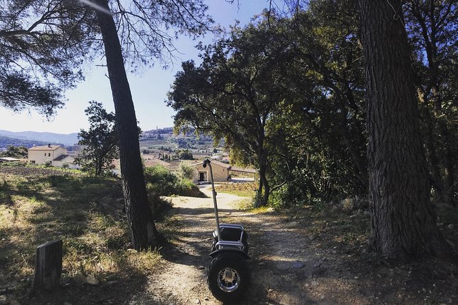 Vineyard Visit in Gyropode, Visit of Cave & Tasting Wines of Bandol - Segway Adventure Through the Vineyards