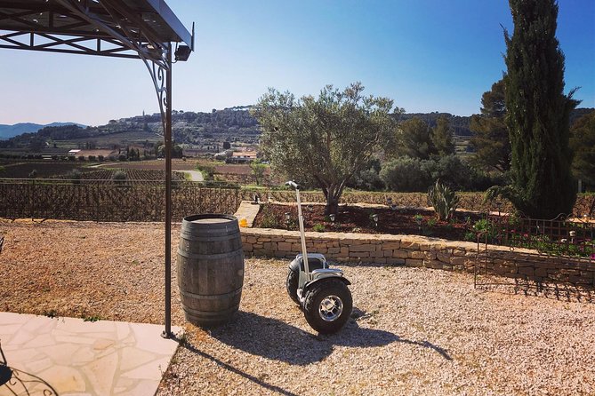 Vineyard Visit in Gyropode, Visit of Cave & Tasting Wines of Bandol - Tasting the Winerys Exceptional Wines