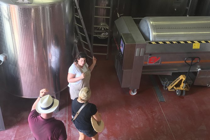 Vineyard Visit With Local Appetisers and Wine Tasting - Guest Experience and Reviews