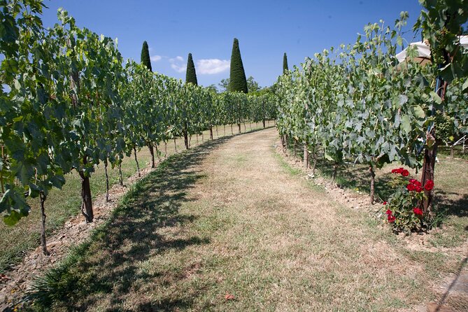 Vineyard Walk & Wine Tasting in Tuscany - Tuscan Appetizer Menu