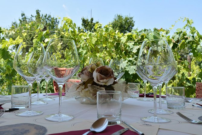 Vineyard Walk & Wine Tasting in Tuscany - Booking and Logistics