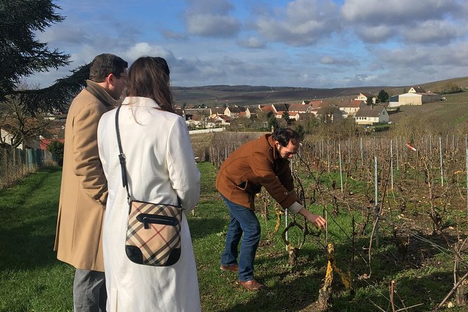 Vineyard Walking Tour & 2 Champagnes Tasting - Key Points
