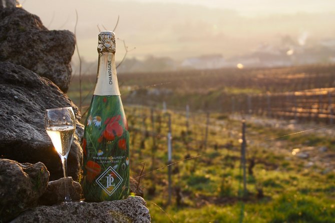 Vineyard Walking Tour & 2 Champagnes Tasting - Winemakers Explication