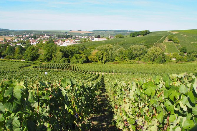 Vineyard Walking Tour & 2 Champagnes Tasting - Courtyard Exploration