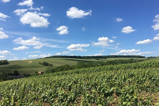 Vineyard Walking Tour & 5 Champagnes Tasting - Meeting and Pickup Information