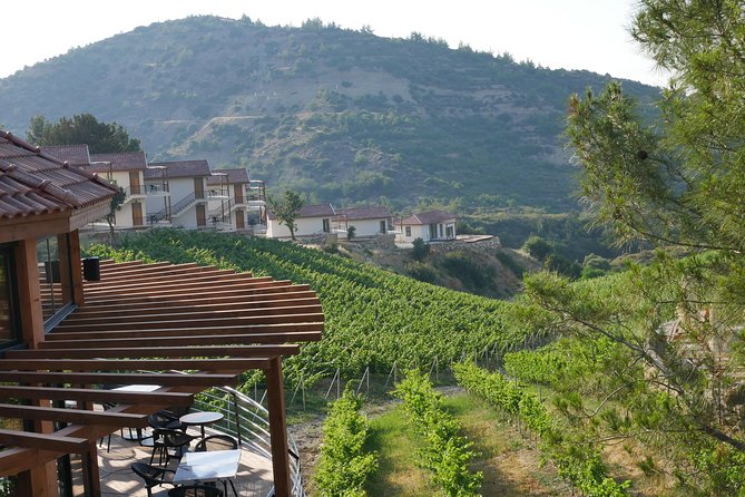 Vineyard & Wine Tasting Tour - Booking and Cancellation Policy