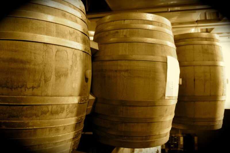 Vineyards of Alicante: Wine Tasting Tour - Highlights of the Experience
