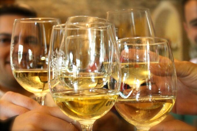 Vineyards of Alicante: Wine Tasting Tour - Variety of Wines Tasted