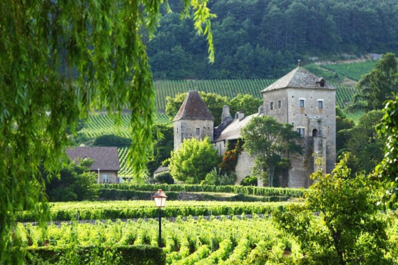 Vineyards of Beaune in a 2CV With a Picnic - Inclusions