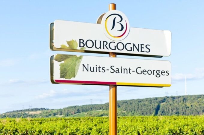 Vineyards of Beaune in a 2CV With a Picnic - Burgundy Grands Crus